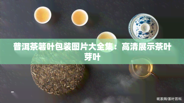 普洱茶箬叶包装图片大全集：高清展示茶叶芽叶