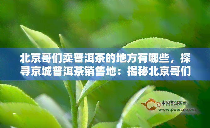 北京哥们卖普洱茶的地方有哪些，探寻京城普洱茶销售地：揭秘北京哥们常去的茶叶店