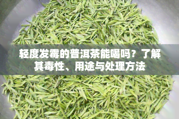 轻度发霉的普洱茶能喝吗？了解其性、用途与处理方法