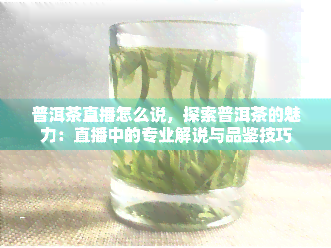 普洱茶直播怎么说，探索普洱茶的魅力：直播中的专业解说与品鉴技巧