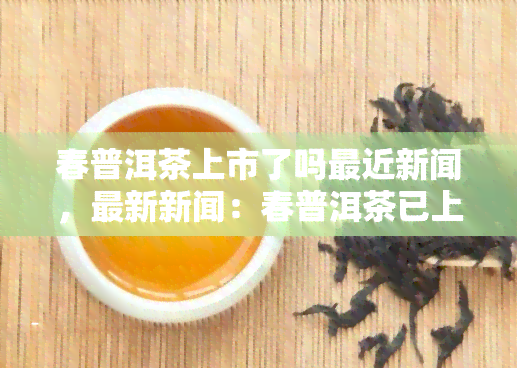 春普洱茶上市了吗最近新闻，最新新闻：春普洱茶已上市，品味初春的味道！