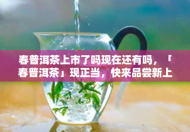 春普洱茶上市了吗现在还有吗，「春普洱茶」现正当，快来品尝新上市的美味！