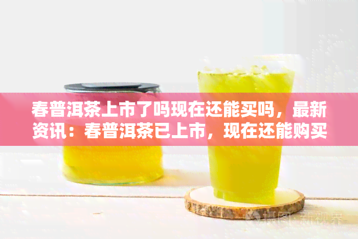 春普洱茶上市了吗现在还能买吗，最新资讯：春普洱茶已上市，现在还能购买吗？