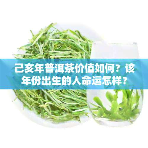 己亥年普洱茶价值如何？该年份出生的人命运怎样？