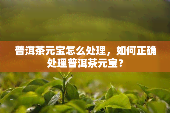 普洱茶元宝怎么处理，如何正确处理普洱茶元宝？