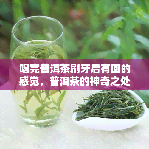 喝完普洱茶刷牙后有回的感觉，普洱茶的神奇之处：喝完后刷牙有回感觉！