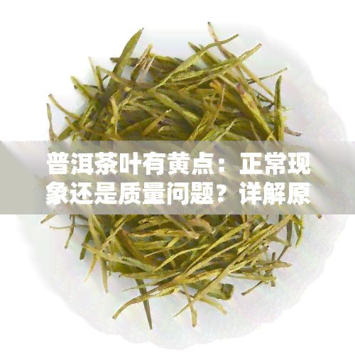 普洱茶叶有黄点：正常现象还是质量问题？详解原因及是否可以饮用