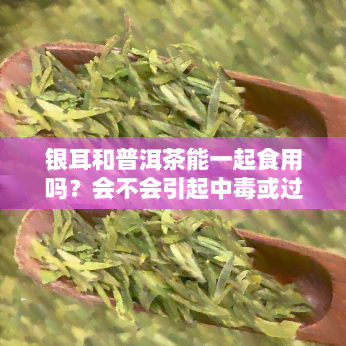 银耳和普洱茶能一起食用吗？会不会引起中或过敏反应？