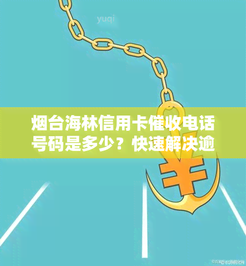 台海林信用卡电话号码是多少？快速解决逾期问题