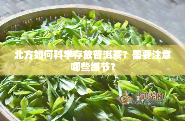 北方如何科学存放普洱茶？需要注意哪些细节？