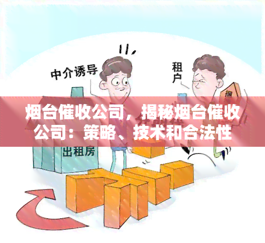 台公司，揭秘台公司：策略、技术和合法性