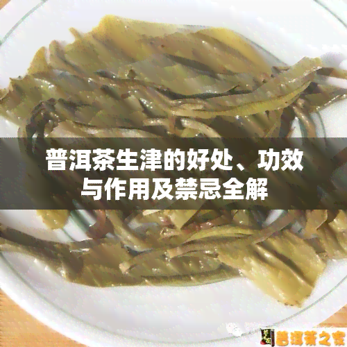 普洱茶生津的好处、功效与作用及禁忌全解