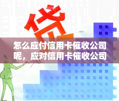 怎么应付信用卡公司呢，应对信用卡公司的策略与方法