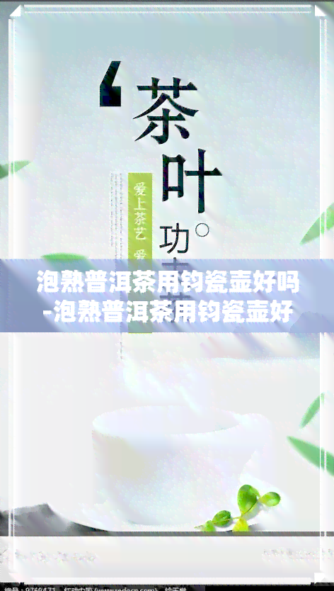 泡熟普洱茶用钧瓷壶好吗-泡熟普洱茶用钧瓷壶好吗知乎