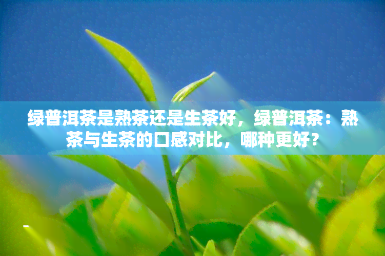 绿普洱茶是熟茶还是生茶好，绿普洱茶：熟茶与生茶的口感对比，哪种更好？