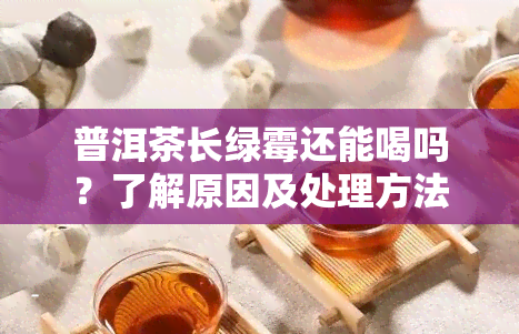 普洱茶长绿霉还能喝吗？了解原因及处理方法