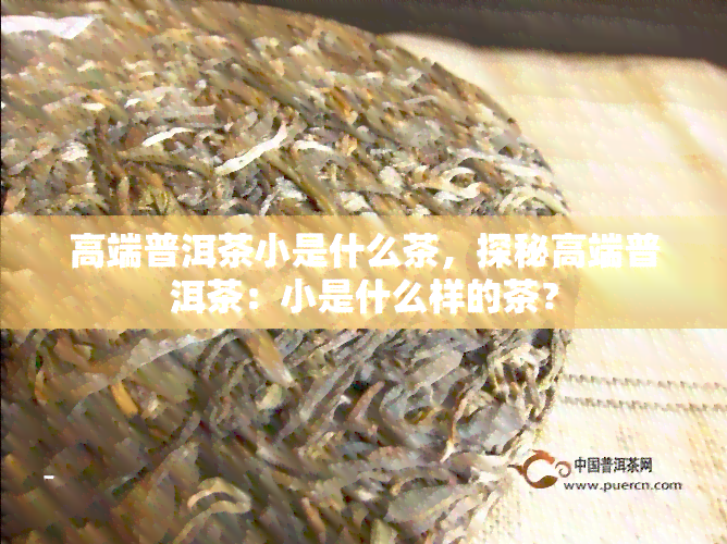 高端普洱茶小是什么茶，探秘高端普洱茶：小是什么样的茶？