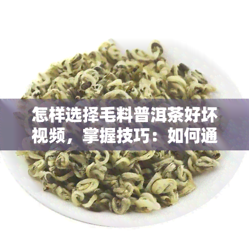 怎样选择毛料普洱茶好坏视频，掌握技巧：如何通过毛料普洱茶的外观和口感判断其品质优劣？看这里！