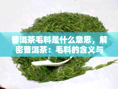 普洱茶毛料是什么意思，解密普洱茶：毛料的含义与作用