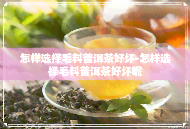 怎样选择毛料普洱茶好坏-怎样选择毛料普洱茶好坏呢