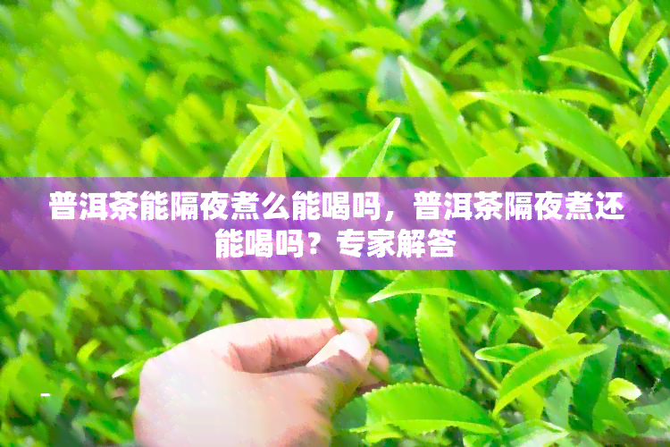 普洱茶能隔夜煮么能喝吗，普洱茶隔夜煮还能喝吗？专家解答