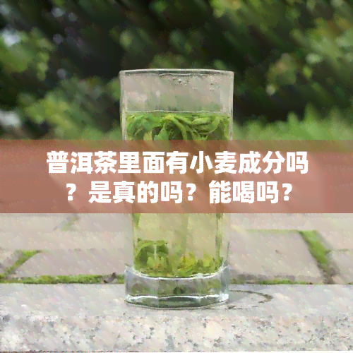 普洱茶里面有小麦成分吗？是真的吗？能喝吗？