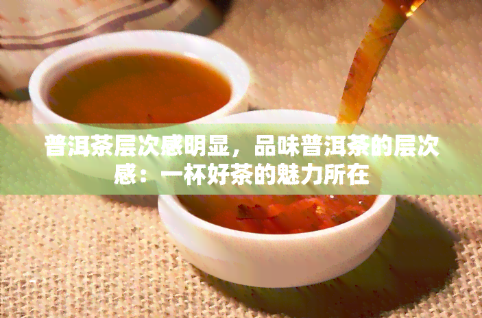 普洱茶层次感明显，品味普洱茶的层次感：一杯好茶的魅力所在