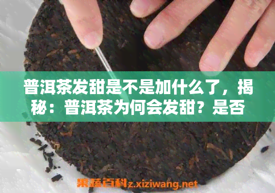 普洱茶发甜是不是加什么了，揭秘：普洱茶为何会发甜？是否添加了什么东西？