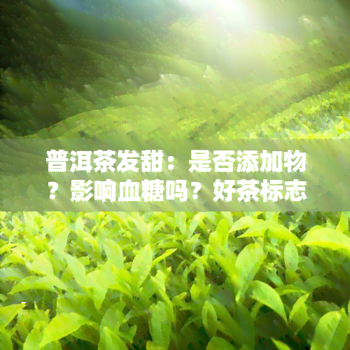 普洱茶发甜：是否添加物？影响血糖吗？好茶标志？解析甜味来源