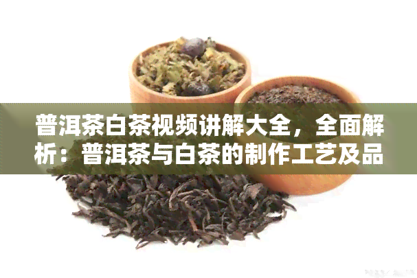 普洱茶白茶视频讲解大全，全面解析：普洱茶与白茶的制作工艺及品鉴技巧视频