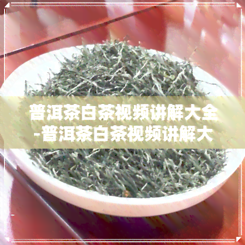 普洱茶白茶视频讲解大全-普洱茶白茶视频讲解大全集