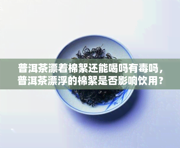 普洱茶漂着棉絮还能喝吗有吗，普洱茶漂浮的棉絮是否影响饮用？是否有？