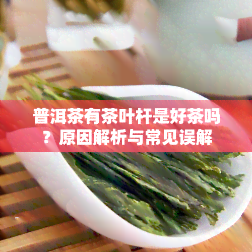 普洱茶有茶叶杆是好茶吗？原因解析与常见误解