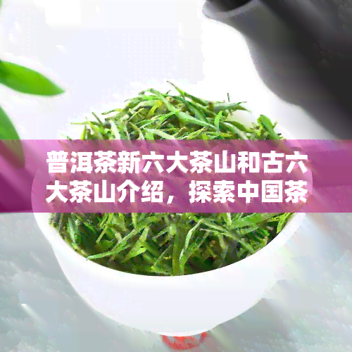 普洱茶新六大茶山和古六大茶山介绍，探索中国茶文化：了解普洱茶的新六大茶山与古六大茶山