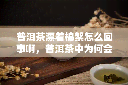 普洱茶漂着棉絮怎么回事啊，普洱茶中为何会出现棉絮状物？原因解析