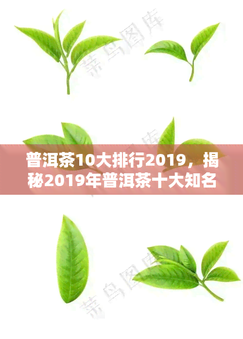 普洱茶10大排行2019，揭秘2019年普洱茶十大知名排行榜