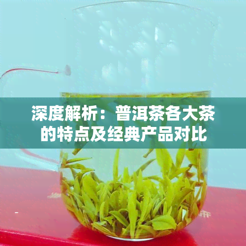 深度解析：普洱茶各大茶的特点及经典产品对比