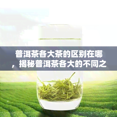 普洱茶各大茶的区别在哪，揭秘普洱茶各大的不同之处