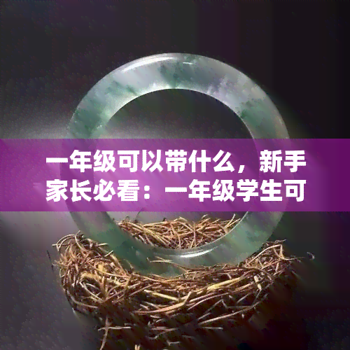 一年级可以带什么，新手家长必看：一年级学生可以携带哪些物品？