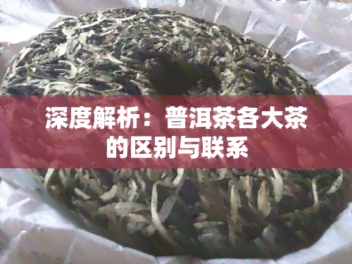 深度解析：普洱茶各大茶的区别与联系