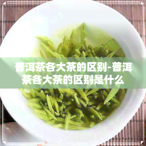 普洱茶各大茶的区别-普洱茶各大茶的区别是什么