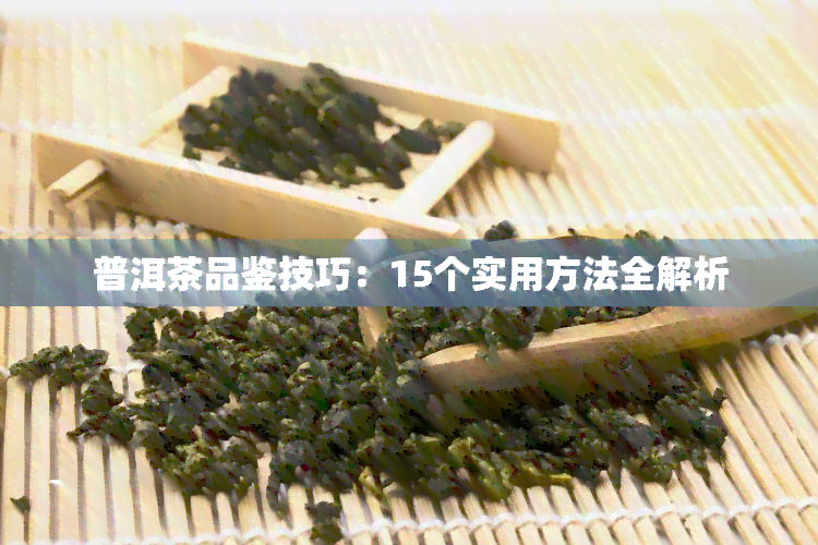 普洱茶品鉴技巧：15个实用方法全解析