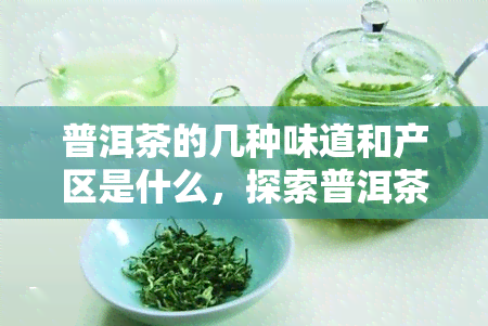 普洱茶的几种味道和产区是什么，探索普洱茶的世界：了解其不同口味与产区