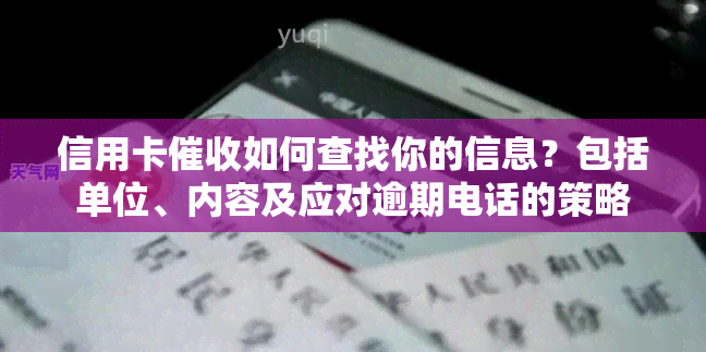 信用卡如何查找你的信息？包括单位、内容及应对逾期电话的策略