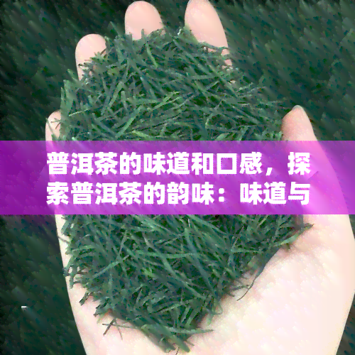 普洱茶的味道和口感，探索普洱茶的韵味：味道与口感的完美结合