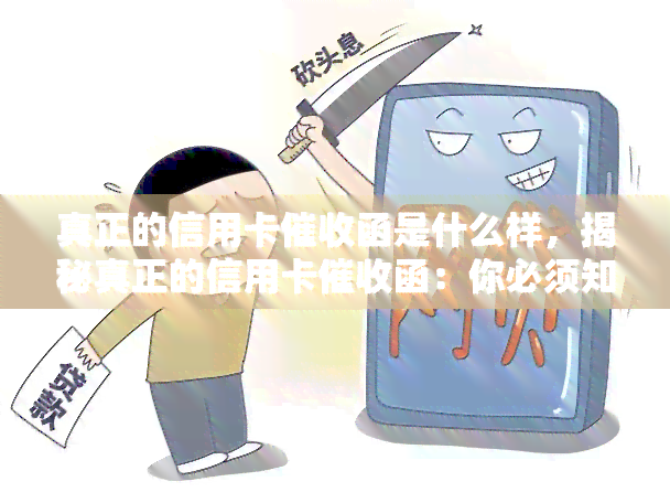 真正的信用卡函是什么样，揭秘真正的信用卡函：你必须知道的细节