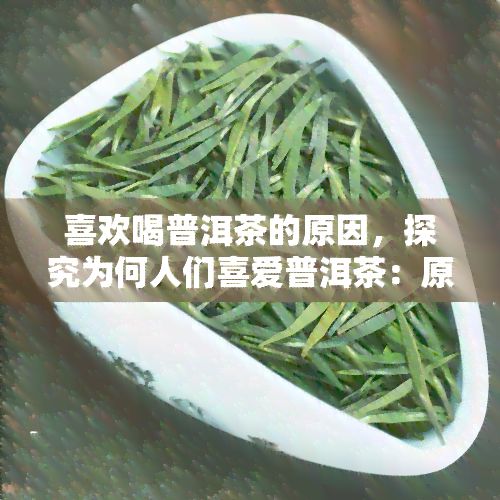 喜欢喝普洱茶的原因，探究为何人们喜爱普洱茶：原因解析