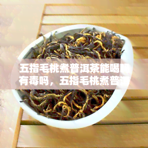 五指毛桃煮普洱茶能喝吗有吗，五指毛桃煮普洱茶：安全饮用还是需谨？