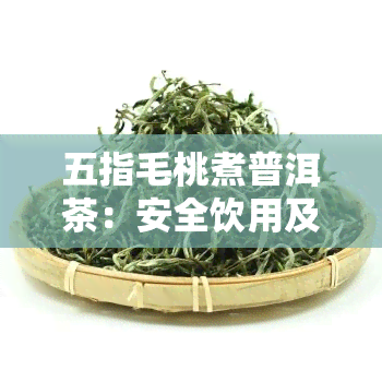 五指毛桃煮普洱茶：安全饮用及好处解析