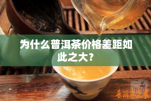 为什么普洱茶价格差距如此之大？